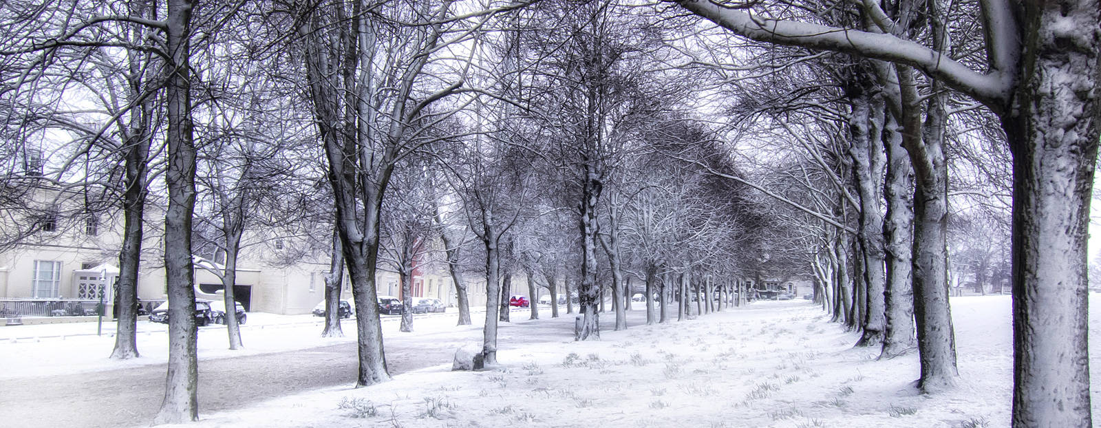 Churchill Avenue in the snow